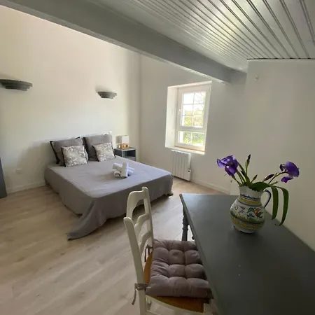 Palmera Villa Anglet