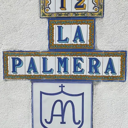 Palmera אנגלה