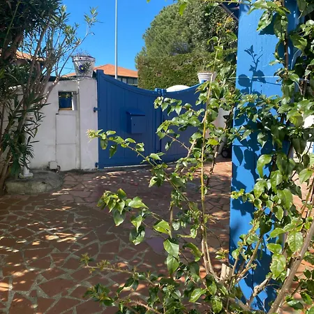 Villa Palmera