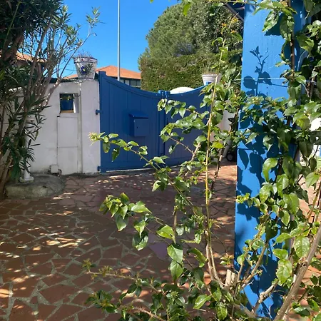 וילה Palmera