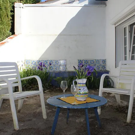 Villa Palmera *